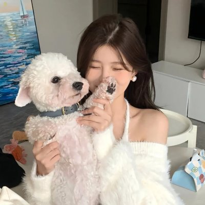 飞鹰人